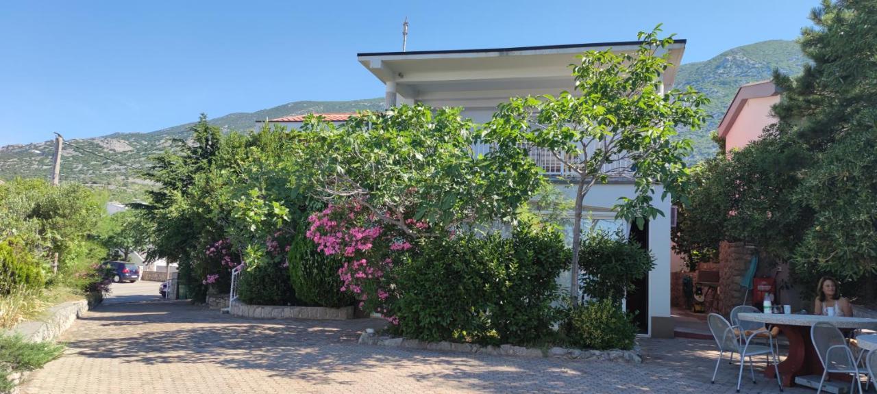 Resort Haus Toma Cesarica Eksteriør billede