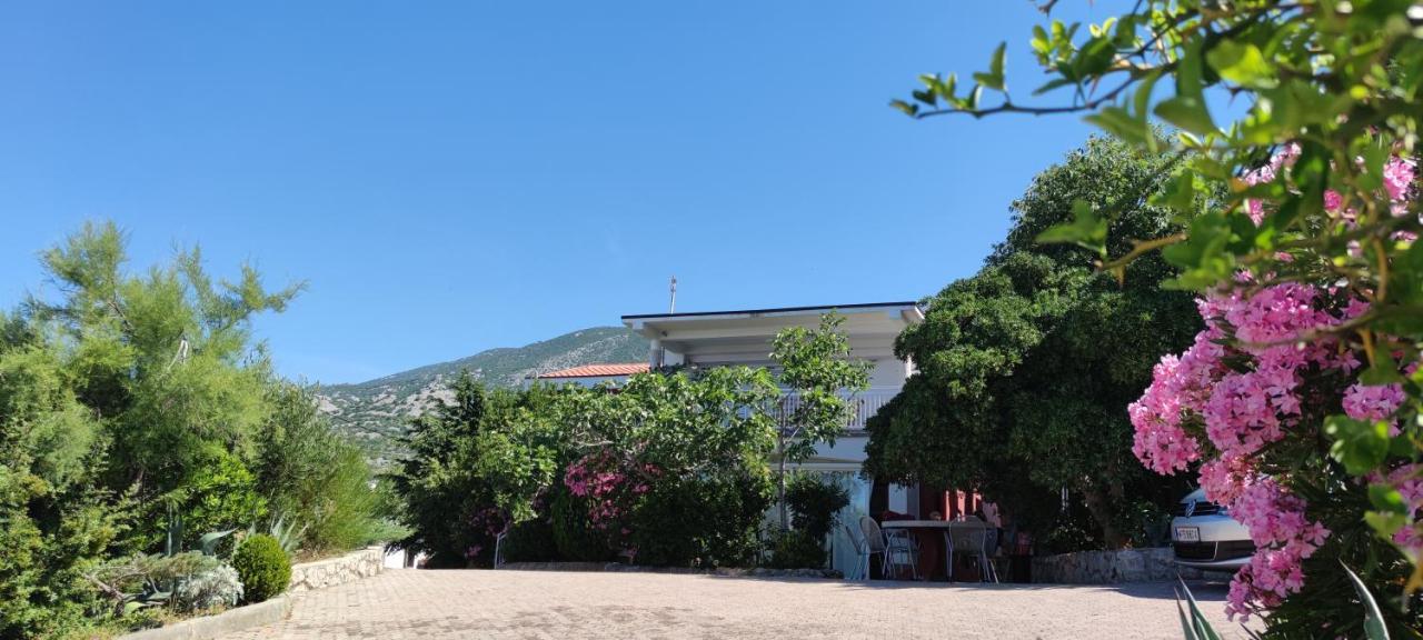 Resort Haus Toma Cesarica Eksteriør billede